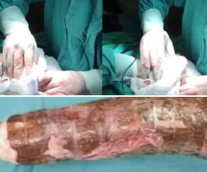 Thiếu nữ 20 tuổi dùng củ sắn làm đồ chơi, quý bà 40 tuổi "khóc thét" vì bóng đèn