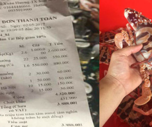 Khách ăn ghẹ 1 triệu đồng/kg ở Sầm Sơn: "Cô gái đăng ảnh nhằm mục đích sống ảo"