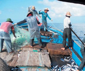 Việt Nam bác bỏ lệnh cấm đánh bắt cá của TQ ở Biển Đông