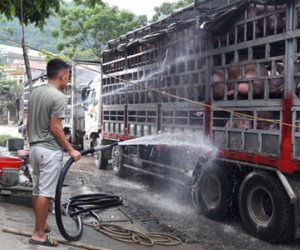Tiểu thương thuê người gánh heo bán tiểu ngạch qua Trung Quốc
