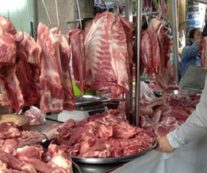 Giá lợn đang nhích dần qua cơn sốc?