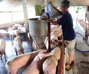 Bộ Công thương lên tiếng về việc liên tiếp phải giải cứu nông sản