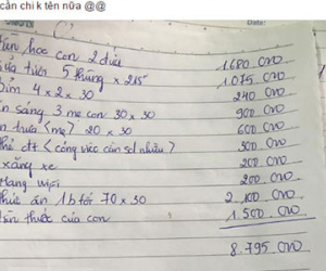 Mẹ trẻ lương 6 triệu, nuôi 2 con hết 8 triệu, tháng 5 thùng sữa khiến dân mạng “chóng mặt”
