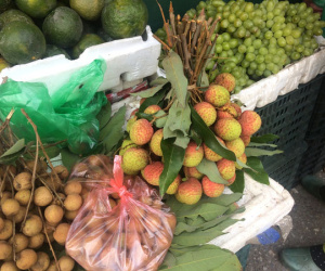 Vải đầu mùa gần 100.000 đồng/kg, đắt gấp 7 lần giá nhập
