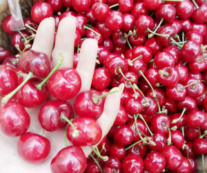 Cherry Trung Quốc 90 ngàn/kg bán tràn lan