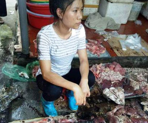 Hải Phòng: Phẫn nộ clip người phụ nữ bị hắt dầu luyn trộn chất thải khắp sạp thịt chỉ vì bán thịt lợn giá rẻ