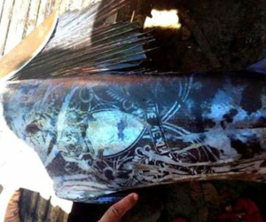 Philippines: Bắt được loài cá xăm kín thân hết sức kỳ lạ