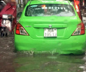 Cây đổ, đường ngập ở Hà Nội sau cơn mưa ngắn