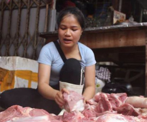 Người nhà hai phụ nữ hắt dầu luyn trộn chất thải vào sạp thịt lợn đến "xin lỗi, mong rút đơn"