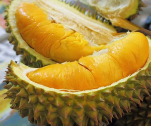 Sầu riêng chữa bệnh “sầu chung” đôi lứa