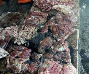 Vụ tạt dầu luyn vào thịt lợn ở Hải Phòng: Bước đầu xác định được người chủ mưu