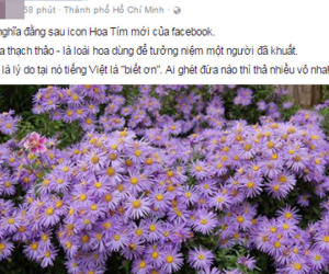 "Thả hoa" nhiều trên Facebook như thế, nhưng liệu bạn có biết ý nghĩa bông hoa màu tím này không?