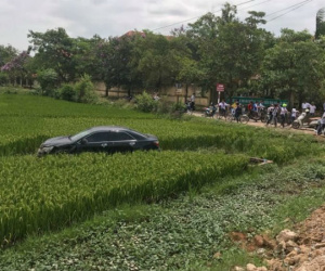 Ảnh bìa bài viết 452906