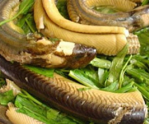 Món ngon từ cá giúp quý ông “sung”
