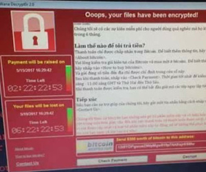 TP HCM "báo động" vì mã độc WannaCry