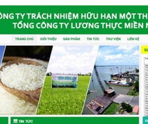 Xin ý kiến Thủ tướng về sai phạm tại Vinafood 2