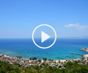 Video: Vẻ đẹp đặc trưng của cù lao Xanh
