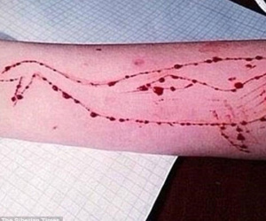 Bắt nam sinh lan tỏa trào lưu chết người "Cá voi xanh" ở Trung Quốc
