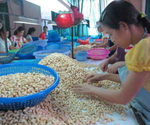 Nông dân chỉ được hưởng 1% giá trị nông sản - gỡ cách nào?