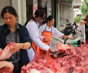 SỐC: Mất 10.000 tỷ đồng từ cuộc đại khủng hoảng lợn