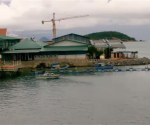 Video: Các nhà hàng khách sạn ồ ạt đổ đất lấn biển Nha Trang
