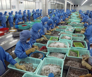 Cá, tôm gánh cả phí nghỉ đêm của cán bộ
