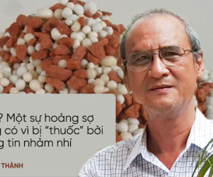 Ảnh bìa bài viết 453897