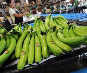 Công bố "danh sách đen" 13 công ty chuyên lừa doanh nghiệp Việt