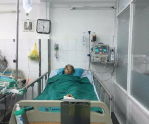 Đút rơm cho bò ăn, cụ bà bị gãy 8 xương sườn