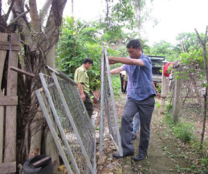 Khỉ “lạ” tấn công phụ nữ, giết gà của dân