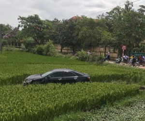 Ảnh bìa bài viết 453974