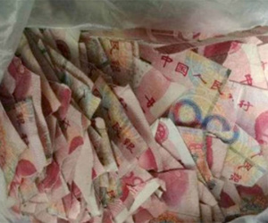 Ảnh bìa bài viết 454670