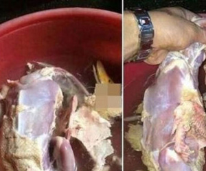 Chia tay vì không biết gọt dứa, vặt lông vịt có phải là tình yêu?