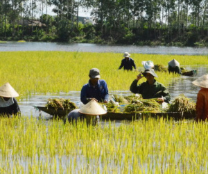 Dân bảo xả lũ gây ngập, chủ hồ chứa nói xả đúng quy trình