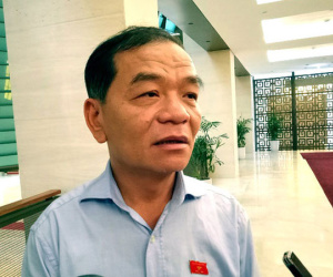 Ảnh minh họa