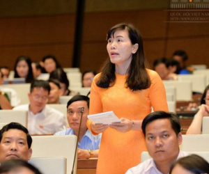 ĐBQH đề nghị đưa hành vi xúc phạm, bôi nhọ lãnh đạo Đảng, Nhà nước vào Luật Hình sự