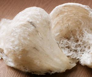 Tổ yến giúp bạn thăng hoa