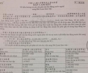 Công ty xuất khẩu lao động lập lờ sử dụng con dấu của Liên minh HTX Việt Nam