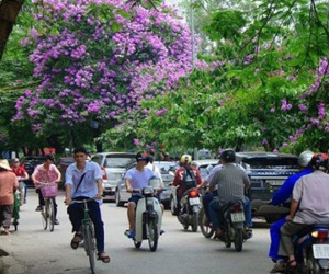 Dự báo thời tiết 25/5: Miền Bắc mát mẻ, miền Trung mưa rất to