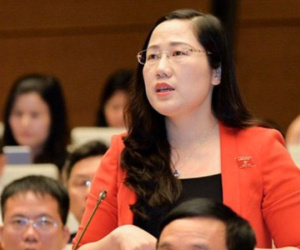 Bị luật sư phản ứng, đại biểu Nguyễn Thị Thủy: "Tôi phát biểu vì lợi ích chung quốc gia"