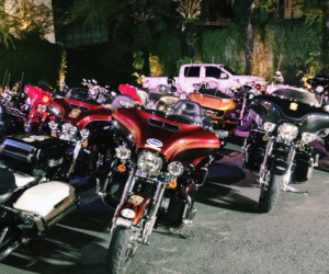 Dàn môtô Harley Davidson hội tụ tại trung tâm Sài Gòn