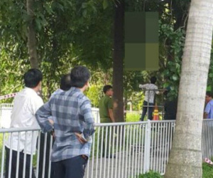 Người đàn ông treo cổ trên cây tại Tân Sơn Nhất
