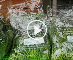 Video: Thị trường rau hữu cơ: Thật - giả lẫn lộn