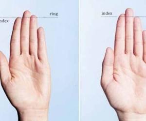 Độ dài ngón tay tiết lộ sức khỏe tình dục nam giới