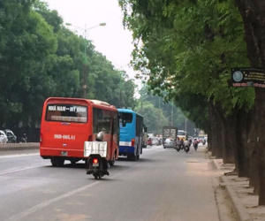 Hà Nội sắp chặt hạ, chuyển hơn 1.300 cây xanh