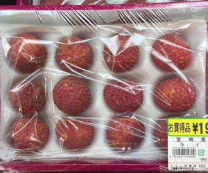12 quả vải thiều giá 430.000 đồng tại Nhật Bản