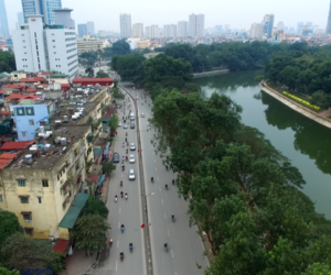 Hà Nội cân nhắc thay thế hơn 4.000 cây xà cừ trong nội thành