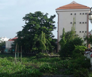 Thi thể cụ bà 70 tuổi nổi trên sông Sài Gòn