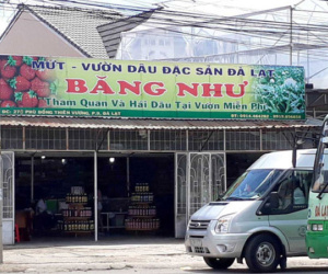 Xử phạt hành chính chủ tiệm mứt ở Đà Lạt đánh khách