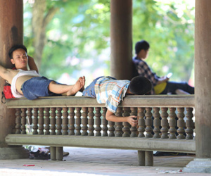 Hà Nội có thể nóng 42 độ C